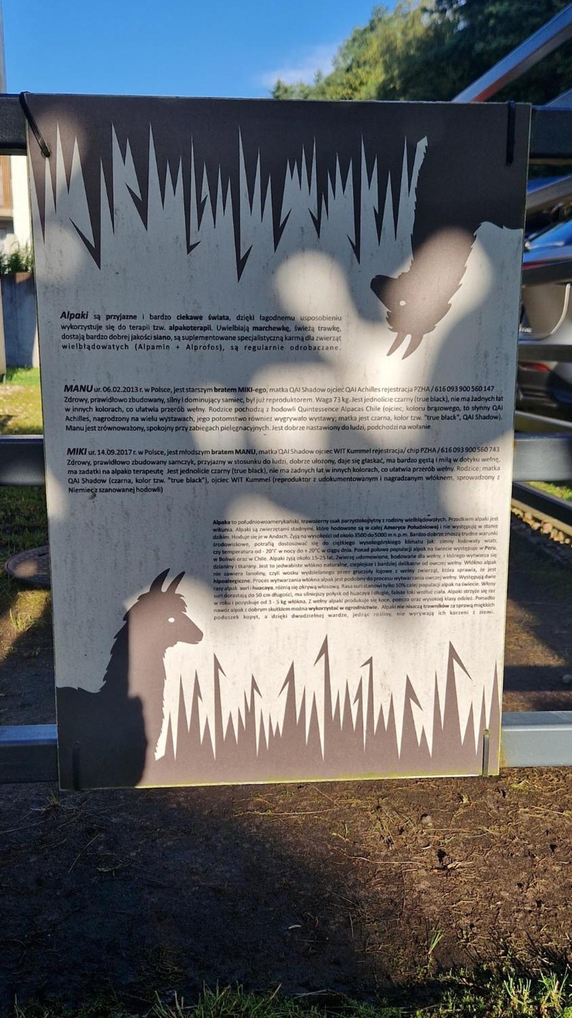 5 Zmyslow Akademia Wypoczynku Domki Grzybowo  Exteriör bild
